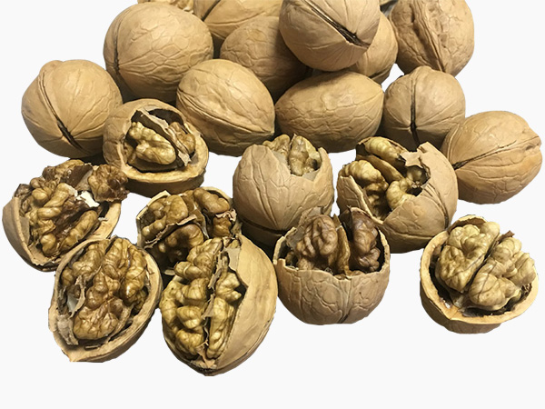 33 الجوز إنشيل